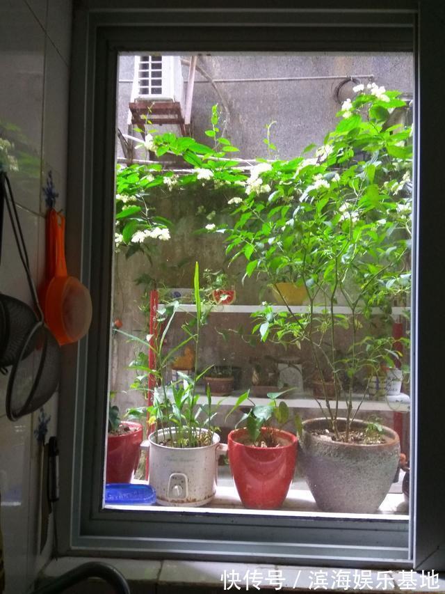 油烟|家里这两扇门,最好是经常关闭,有利于健康