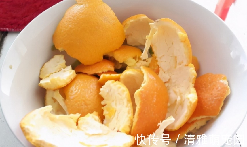 用鸡蛋壳养花,方法多种多样,植物盆栽用了越长越起劲