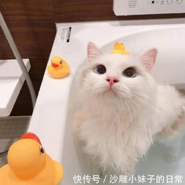 |幽默笑话: 我眼一直近视,老婆说我戴眼镜不好看,所以一直没配眼镜。