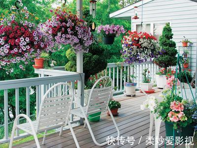 吊兰|贵州一户人家,阳台从不堆杂物,打造成小花园,邻居看了都羡慕