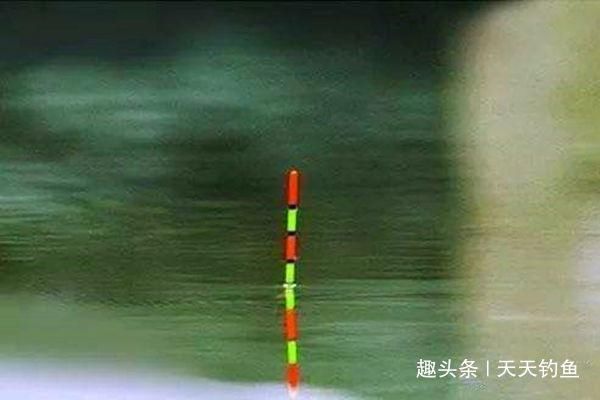 硬尾|浮漂的软尾和硬尾,差别到底在哪里钓鱼老司机帮你解惑