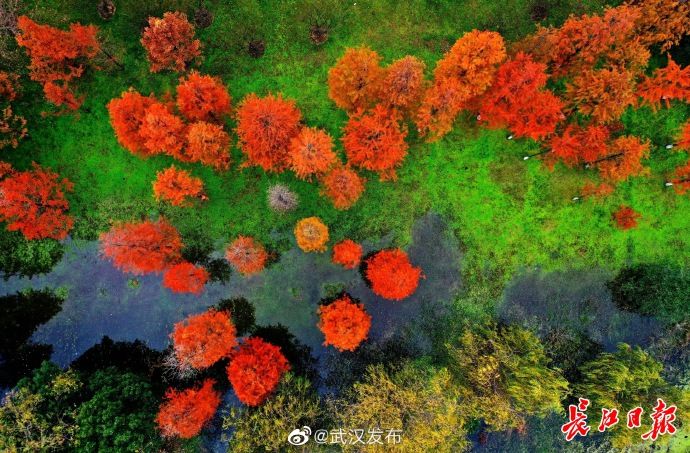  大雪|大雪节气，“秋色”缤纷