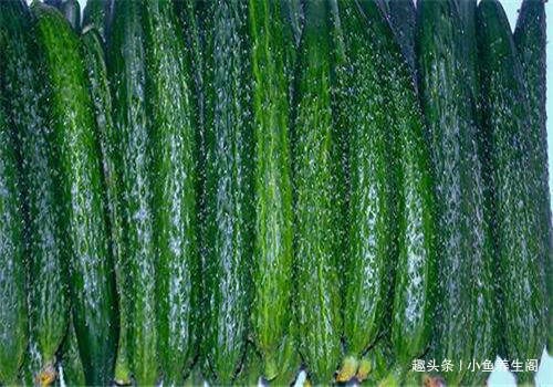 红莓苔子亚属|适合女性吃的4种食物，美容养生、滋润肌肤，早吃早好！