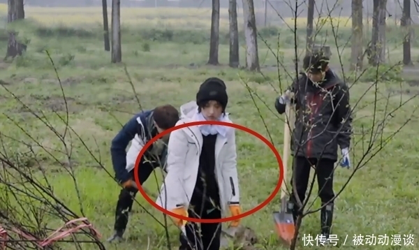 《向往》干活再遭质疑,前有挖藕后有种树,网友:哇偶,当我们瞎
