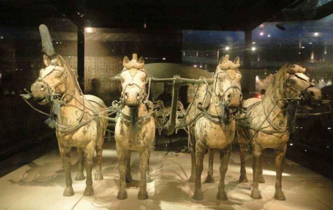 推到|日本借兵马俑展出,却被暴徒强行推到使其受损,我国做法令人敬佩