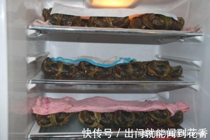 螃蟹吃不完，最忌直接冷藏，学会2个小妙招，放1周还鲜活，不掉肉