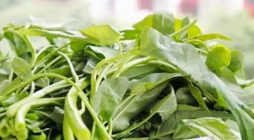 空心菜|羨慕別人皮膚好，不妨常吃3物，刮油減脂，滋養(yǎng)肌膚，活出少女感