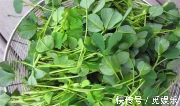 减肥瘦身|秋天到了,不妨多食4种食物,延缓衰老,减肥瘦身,早吃早受益