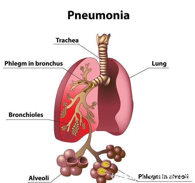 脏腑相通,五脏的生理功能多奇妙