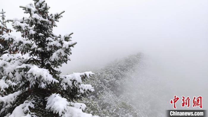 古刹|雪浴“道源圣地”崆峒山：古刹白雪墨泼若仙境