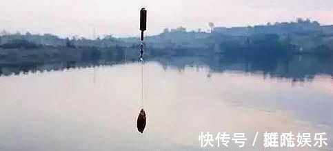 垂钓|夜钓鲤鱼,真的不用吹,这套钓法最管用,大鲤鱼接连入护