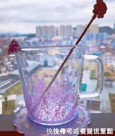 杯子&星巴克的玻璃杯卖这么贵!倒入冷水后,网友:简直是太值了