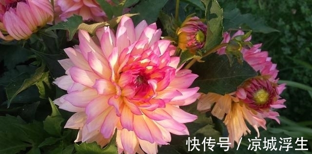 大发彩票 - 官方购彩平台注册即送88元安全可靠的彩票娱乐平台stylecontent