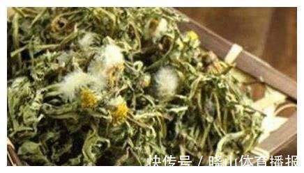 食用|为什么蒲公英被称为“药草皇后”？提醒：泡水时要注意3件事