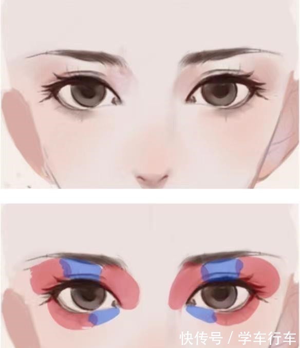 眼头眼尾$从结构到上色让你进一步了解眼睛!从结构到上色让你进一步了解眼睛!