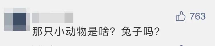 竟然 “广寒宫土特产”已签收！“嫦五”回家第一个找到的竟然是它？