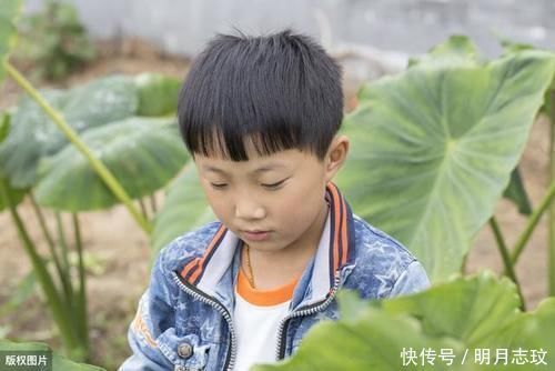 担当|3岁暖男哥哥哄妹妹睡觉，小胳膊有爱有担当，宝妈被这一幕感动