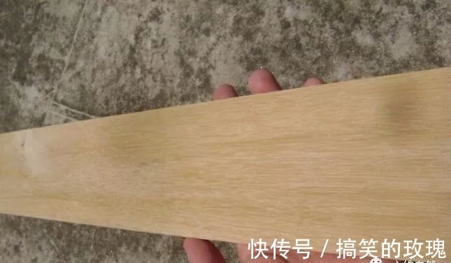 铁桦树|世界上最硬的木材,比普通钢铁硬一倍,用作金属的代用品!