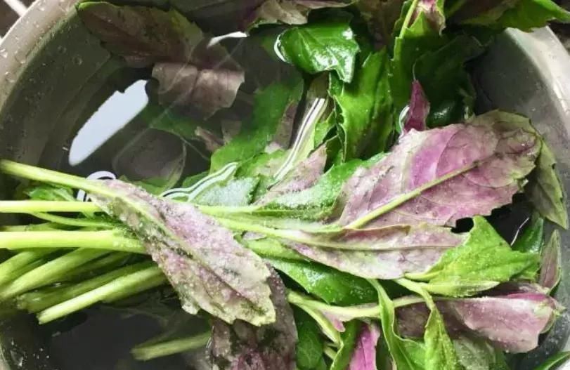 穷人|被人称为“穷人的阿胶”,每天炒一盘,补血养血,脸色越来越红润