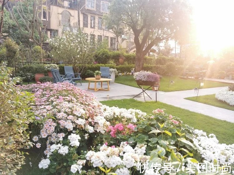 下午茶|一楼430㎡大院子,用1年半建成花园,网友:你这是建了个公园吧?