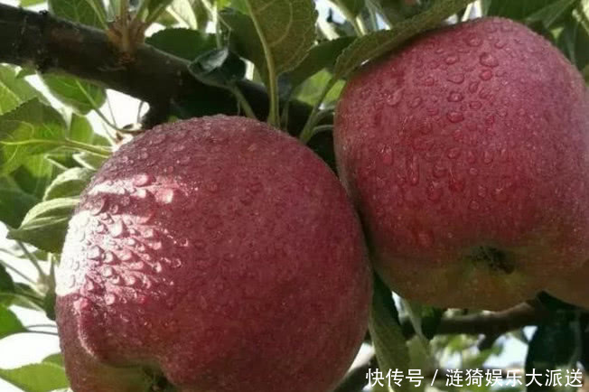 食物|年过45岁,首先要管住嘴,尤其4种食物,吃多了加速衰老