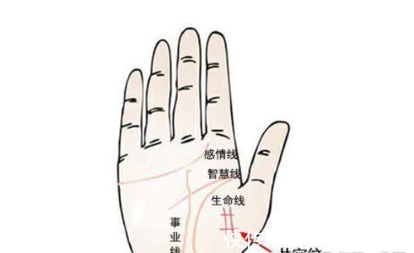 干姜|“手如干姜,家道必昌”,有这种手相的女人,福气大又旺夫