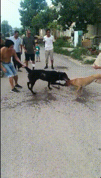 骑自行车|我在这里抽了两支烟,都没弄明白我输在哪里