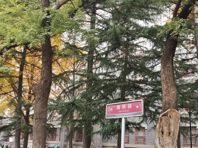 带你走进山东大学，在那里学习是什么样的体验