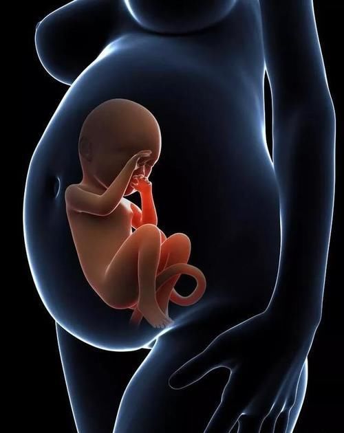 孕五月，胎盘前壁，为何还没肚子，也无胎动？