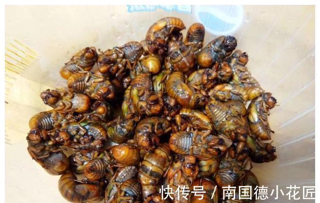 玉米粒|早起不到1小时，简单做个早餐，自己做饭省钱又美味健康