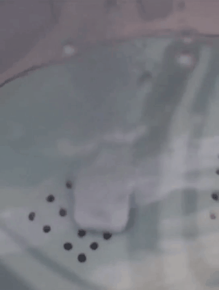 我家里的这些清洁用品,虽然便宜但真的很好用,让清洁卫生变轻松