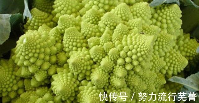 品相|被长相耽误的4种蔬菜,看着下不去口,吃过就停不下来!