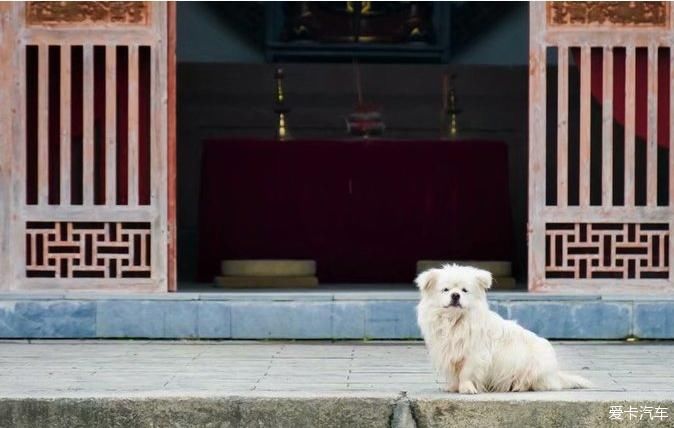 泉水|神仙之源、仙境源头