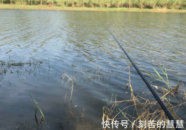 冬天降温鱼口轻，怎么钓才最好进来划重点