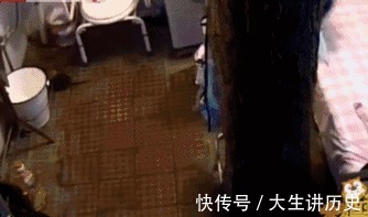 大树|15米大树穿过20㎡老屋,一家人害怕遭雷劈,出价8万挖走也不敢卖