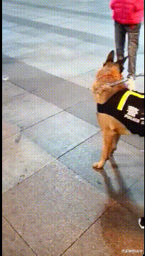 海波|喬杉洗腳城被抓了,會像海波一樣退出演藝圈嗎?哈哈哈哈哈哈哈...