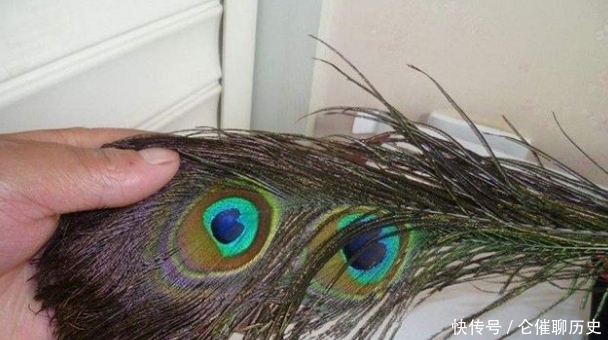 名将施琅为何宁弃侯爵而求花翎,浅谈清代花翎制度的发展与演变