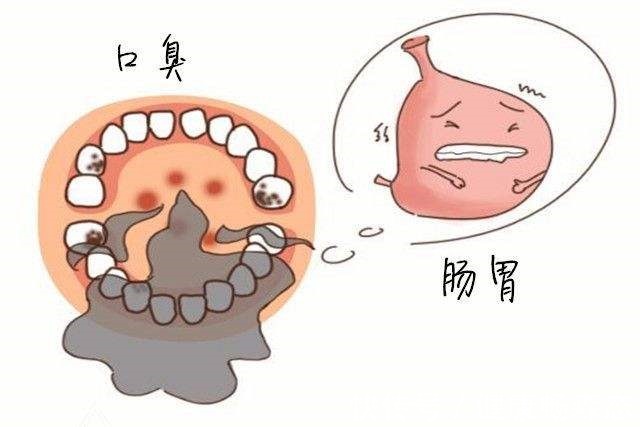 免疫细胞|口臭、皮肤过敏，这5个小毛病提示你肠道出了问题