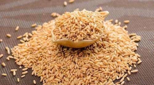 脾胃|脾胃不好别瞎吃药,送你这些中药材,健康安全又调理脾胃