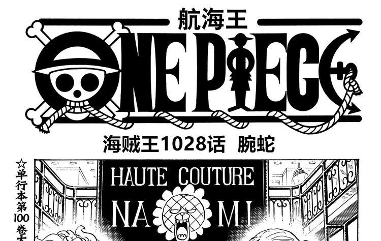 cp0|海贼王1028话情报，山治觉醒遗传因子，世界政府再次派路奇抓罗宾