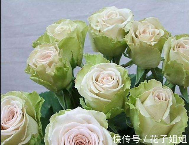 美味|那些名字很美味的月季 秀色可餐 吃货的福音！