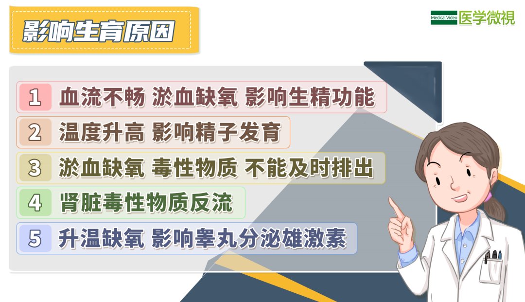 雄激素|一种患病率高达20%，可导致男性不育，却大多无需处理的疾病