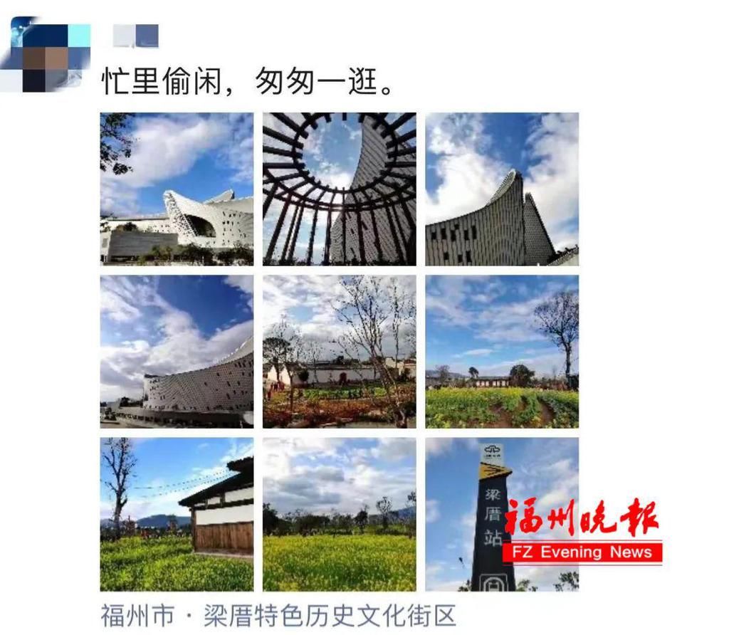 老年|假期余额不足，快去赏花！（附攻略）