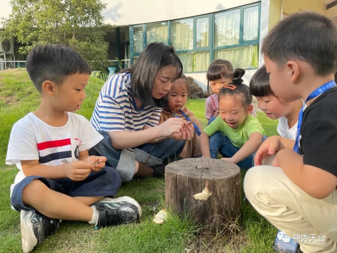 石老师|天台始丰街道中心幼儿园：精心打造“和合幼教” 让教育像呼吸一样自然