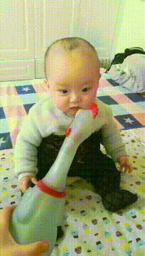 |搞笑GIF:大哥,你家的闺女,长大必定是个女汉子啊