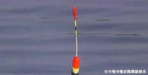 野钓发现3种信号,说明“大家伙”来了,万万不要胡乱提竿