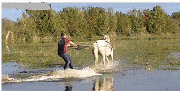 |搞笑GIF:兄弟,我只能帮你到这里了!