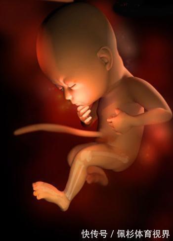 孕妇|孕晚期长胎冲刺进行时，孕妇常吃3类食物，有助于胎儿长高