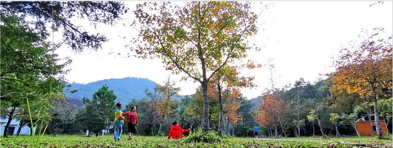 上思：春节本地游火“出圈”