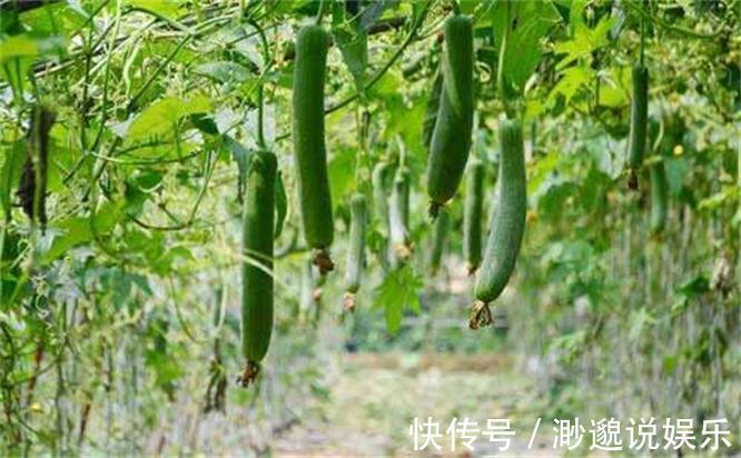 淡化|女性不愿早衰,推荐多吃3种食物,淡化色斑,消除毒素,显年轻